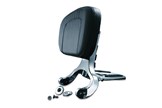 Multi-Purpose Driver & Passenger Backrest
