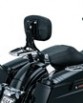Multi-Purpose Driver & Passenger Backrest