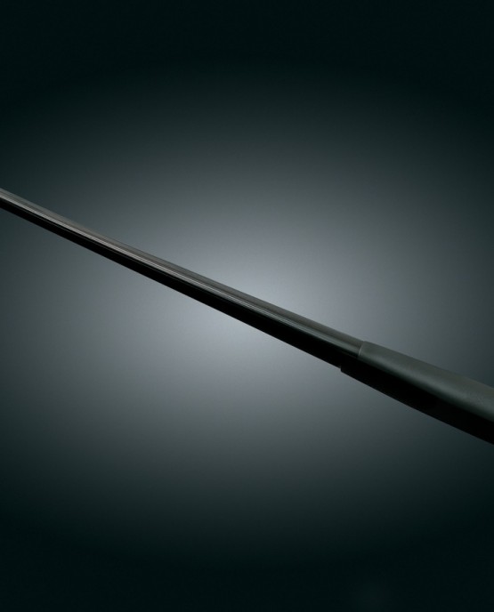 Dual Function Flexible Antenna