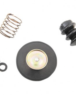 DIAPHRAGM REBUILD KIT