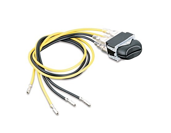 Double Rocker Switch