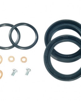 FORK SEAL KIT