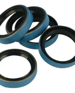 MAIN DRIVE GEAR OIL SEAL